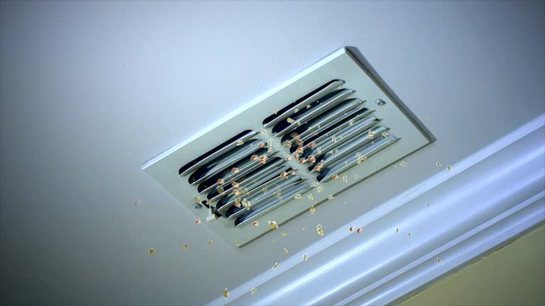Best Professional Duct Cleaning Services  in Reno, OH