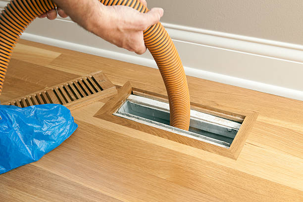 Best Air Vent Cleaning Services  in Reno, OH